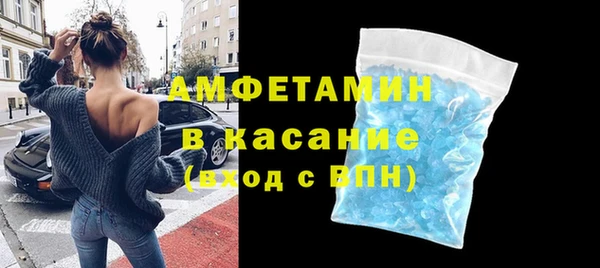 индика Арсеньев