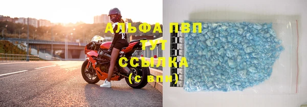 индика Арсеньев