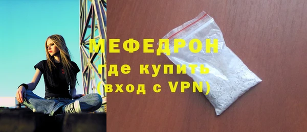 индика Арсеньев