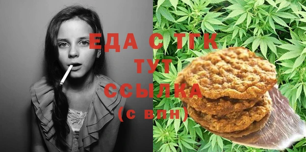 индика Арсеньев